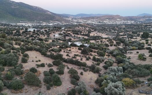 Yakaköy’de 14.940 m² Büyük Yatırım Fırsatı Takasa Açık